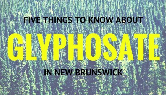 Five Things To Know About Glyphosate (3)