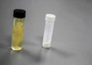 Chitosan in its fungal and powdered states.