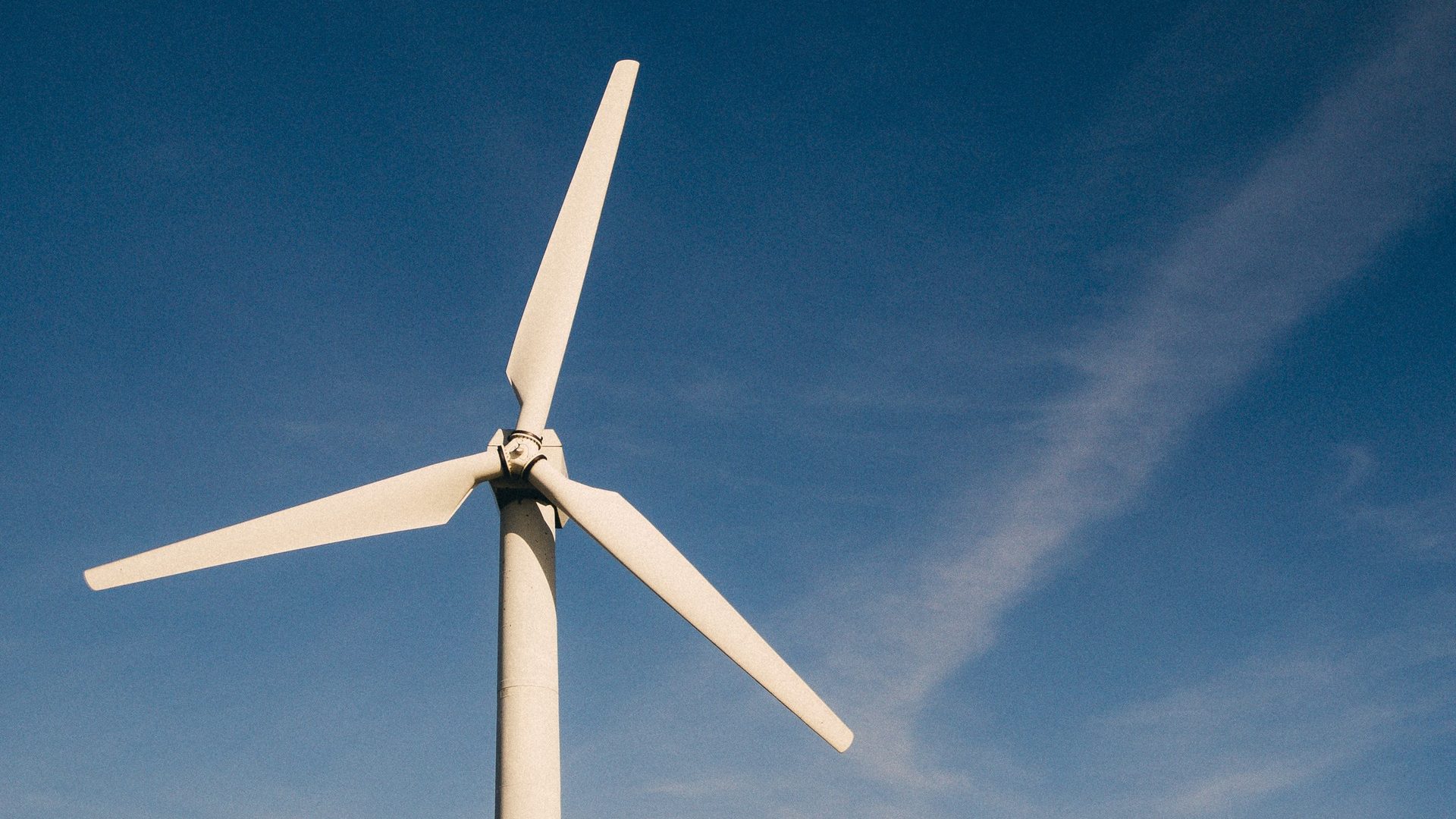 EverWind Pursues Ambitious Green Hydrogen And Ammonia Plant In Point