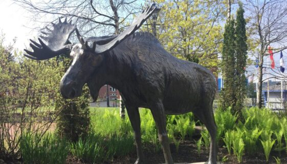 moose-sculpture