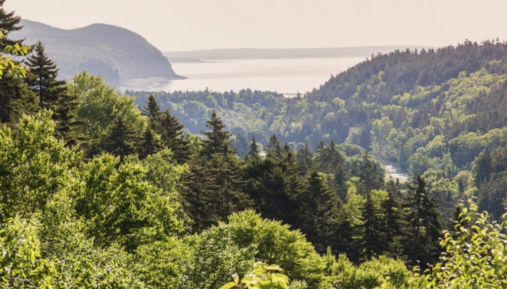 Panorama of Fundy National Park