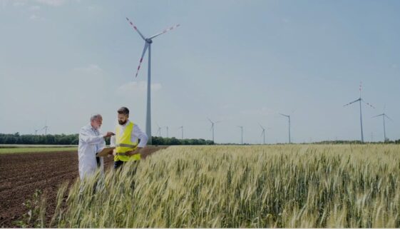 Naveco wind farm