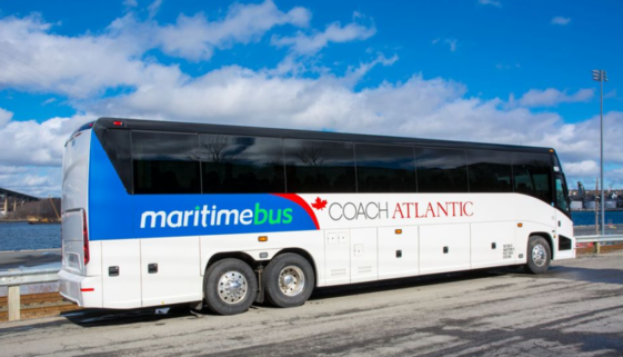 Maritime Bus JAN 29