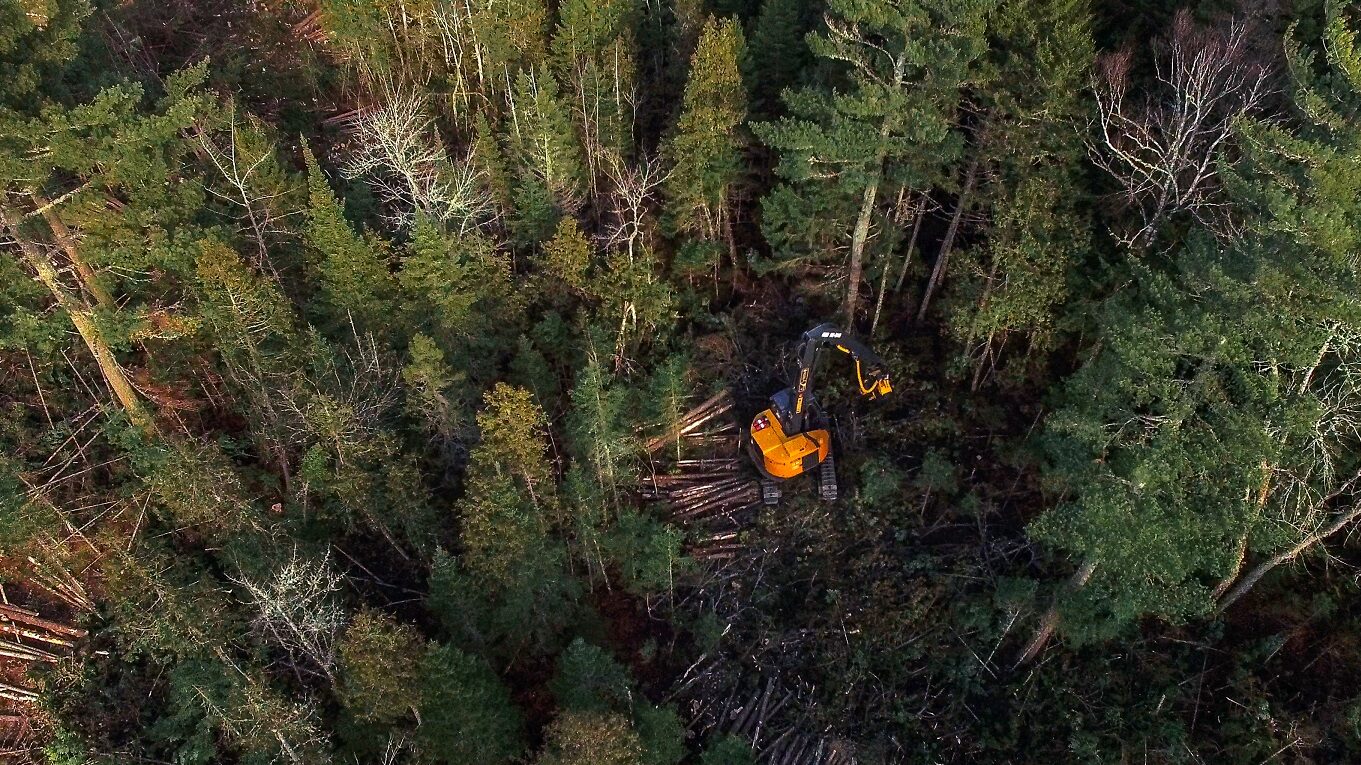 N.B. Forestry Company Certified For Conservation Practices ...