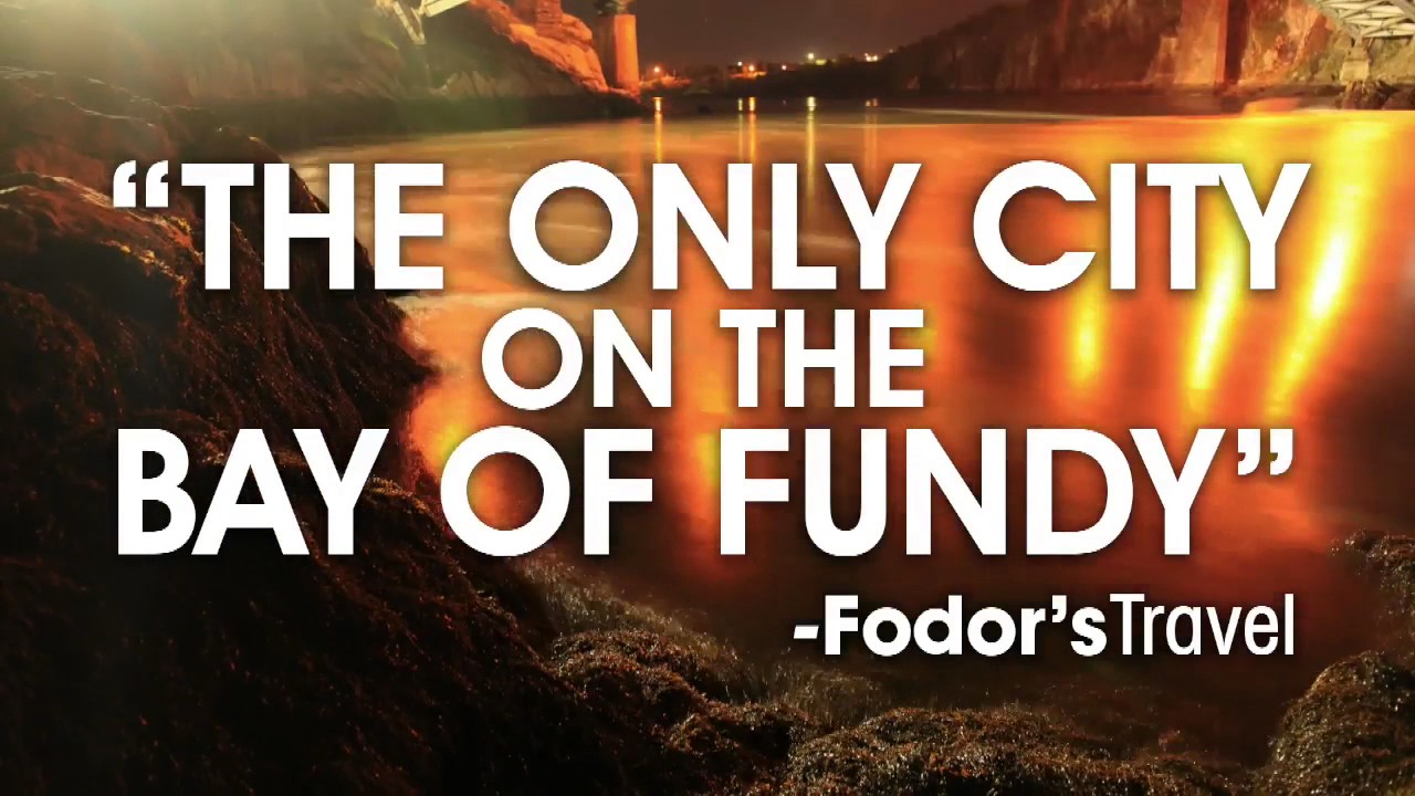 Watch Emily's AwardWinning Performance in the ROYALE Toilet Paper Ad